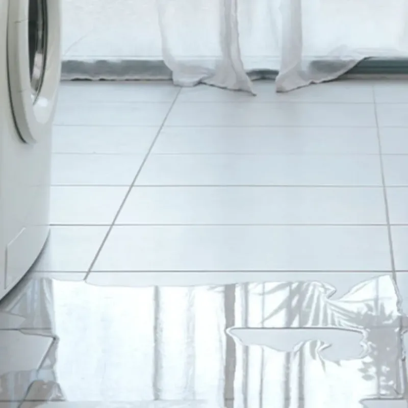 Appliance Leak Cleanup in Kentwood, LA