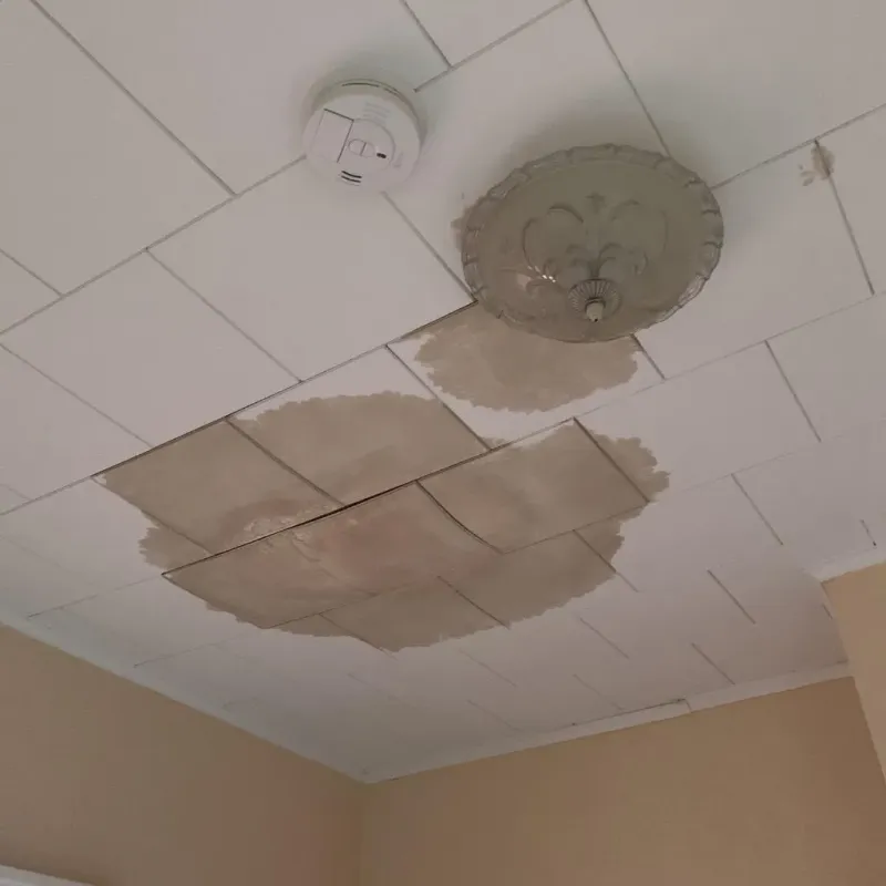 Ceiling Water Damage Repair in Kentwood, LA