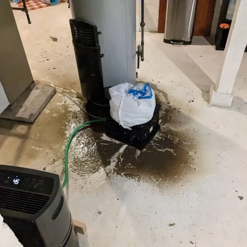 Sewage Backup Cleanup Service in Kentwood, LA